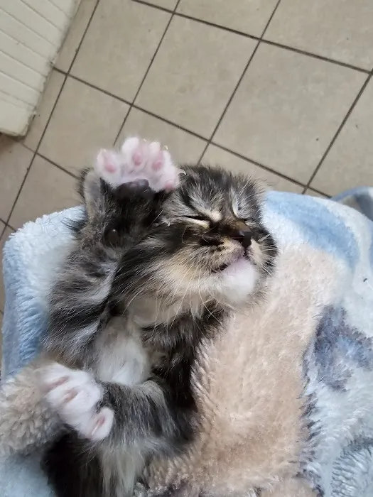 Milwaukee Animal Hospital Picture 5