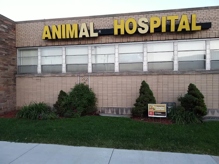 Milwaukee Animal Hospital Picture 4