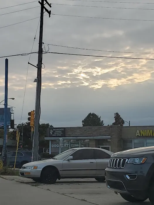 Milwaukee Animal Hospital Picture 7