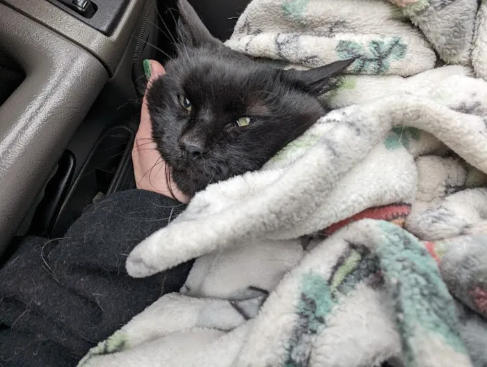 Milwaukee Animal Hospital Picture 8