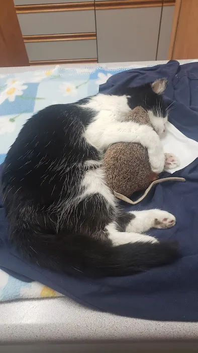 Milwaukee Animal Hospital Picture 6