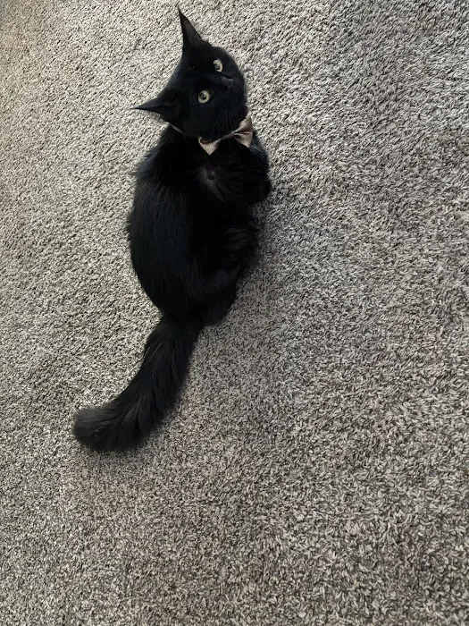 Milwaukee Animal Hospital Picture 10