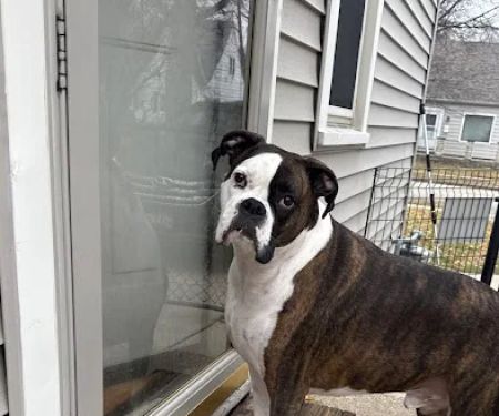 Spirit Of 76th Veterinary Clinic