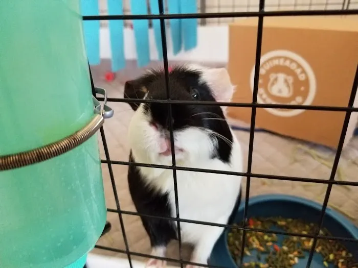 Spirit Of 76th Veterinary Clinic Picture 2