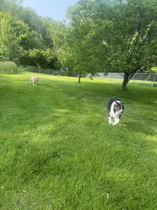 Spirit Of 76th Veterinary Clinic Picture 8