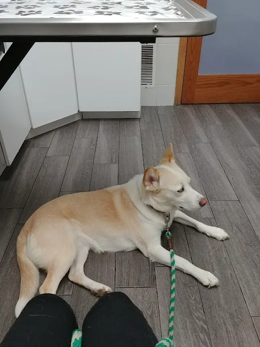 Spirit Of 76th Veterinary Clinic Picture 5