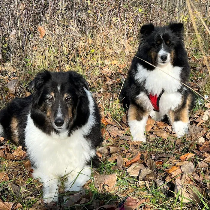 West Allis Animal Hospital Picture 3