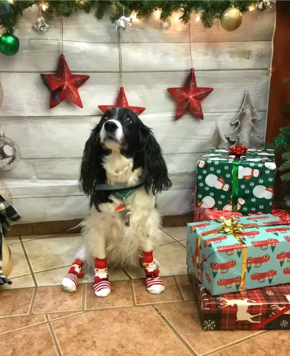 West Allis Animal Hospital Picture 2