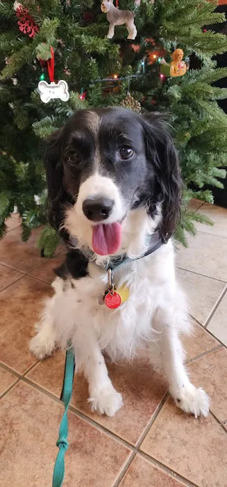 West Allis Animal Hospital Picture 1