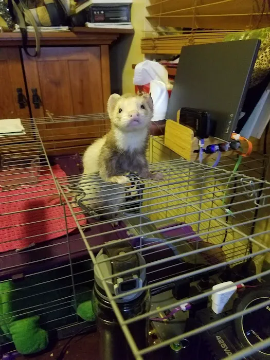 West Allis Animal Hospital Picture 6