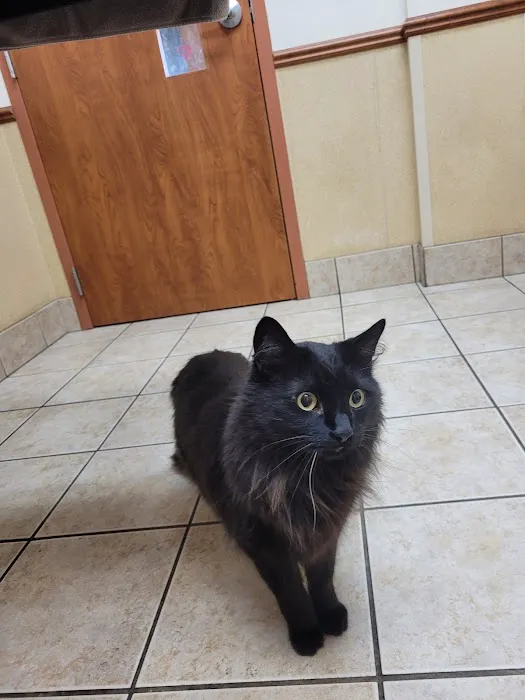 West Allis Animal Hospital Picture 4