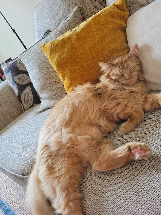 West Allis Animal Hospital Picture 5