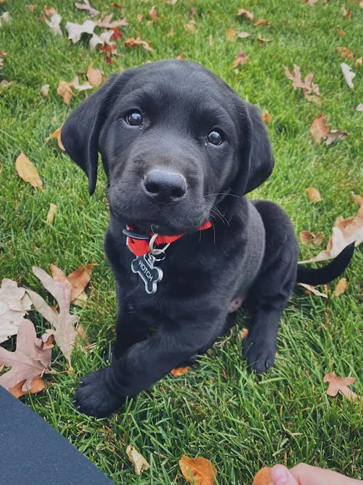 Milwaukee Vet Clinic Picture 2