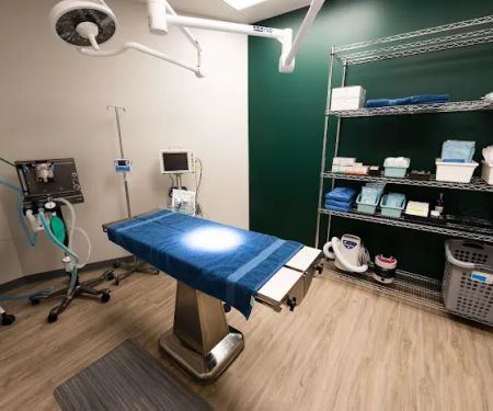 Milwaukee Vet Clinic