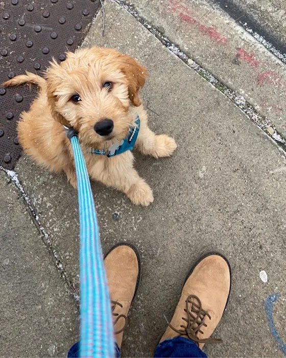 Milwaukee Vet Clinic Picture 7