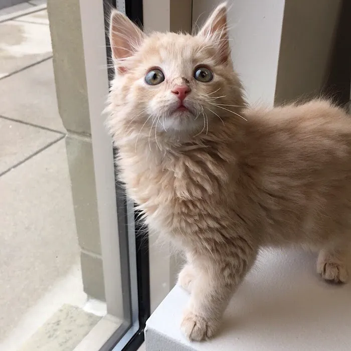 Milwaukee Vet Clinic Picture 8