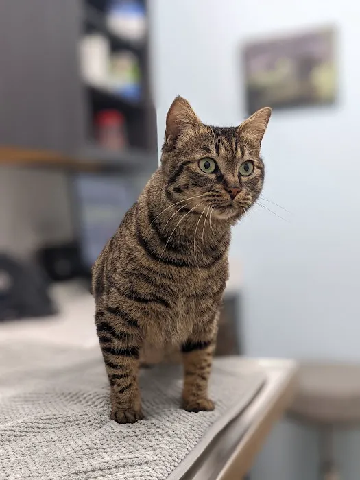 Milwaukee Vet Clinic Picture 6