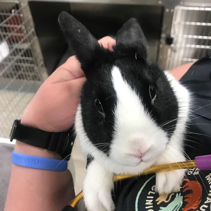 Milwaukee Vet Clinic Picture 10