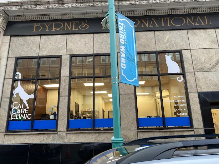 Cat Care Clinic Milwaukee Picture 6