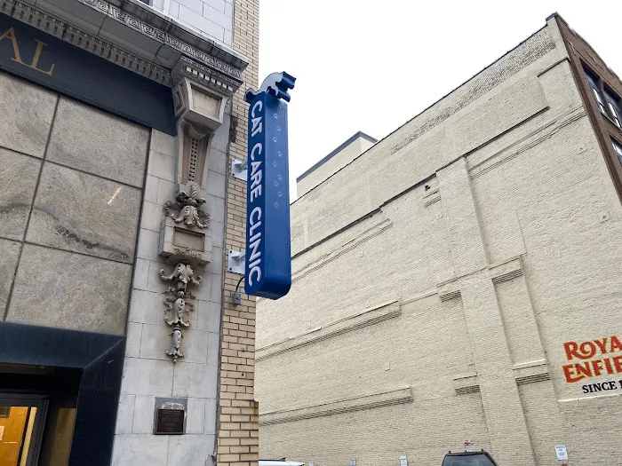 Cat Care Clinic Milwaukee Picture 10