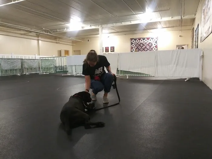 Pewaukee Veterinary Service Picture 5