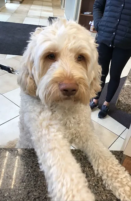 Pewaukee Veterinary Service Picture 3