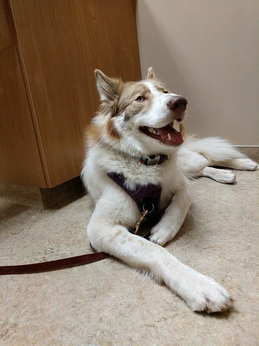 Pewaukee Veterinary Service Picture 2