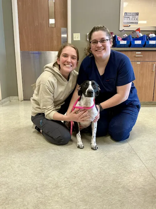 Pewaukee Veterinary Service Picture 6