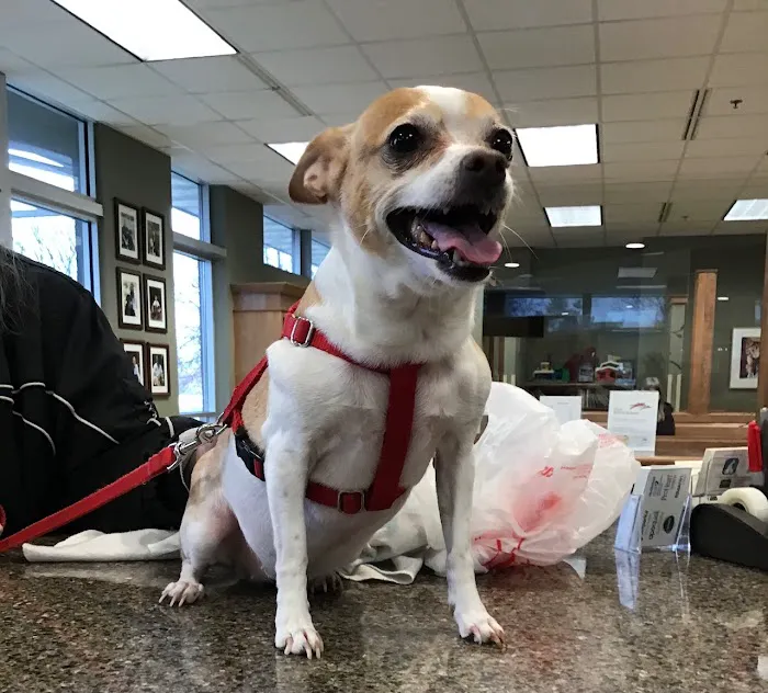 Pewaukee Veterinary Service Picture 9