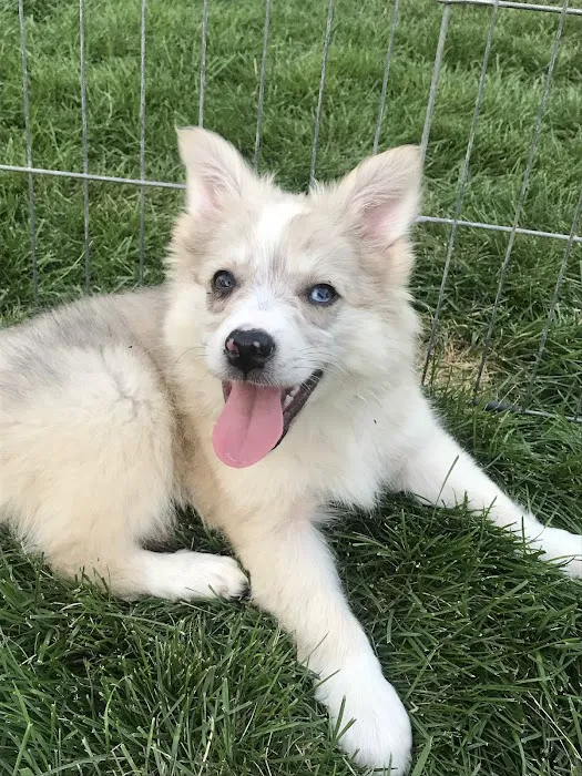 Pewaukee Veterinary Service Picture 7