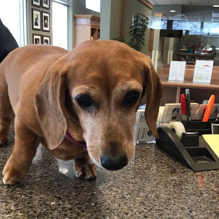 Pewaukee Veterinary Service Picture 10