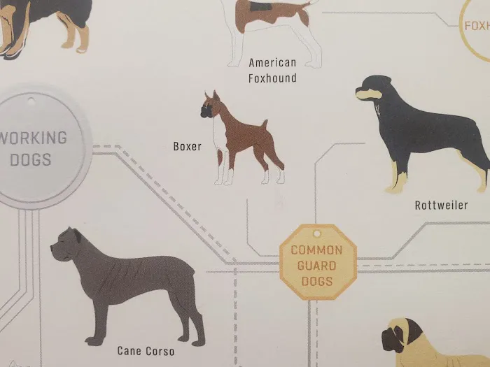 Integrative Veterinary Service Picture 2