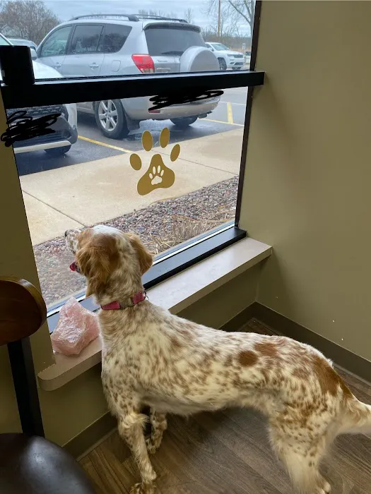 Integrative Veterinary Service Picture 1