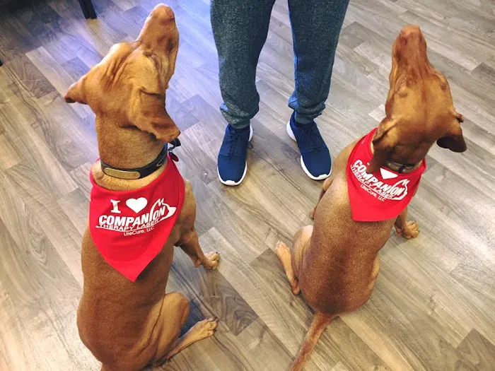 Integrative Veterinary Service Picture 10