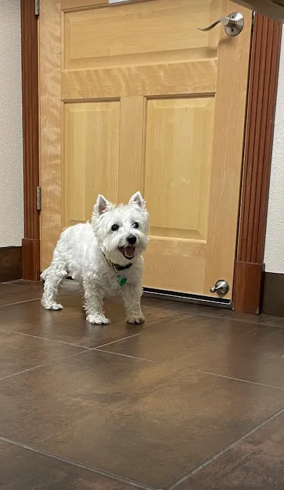 Eye Care for Animals - Pewaukee Picture 1