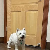 Eye Care for Animals - Pewaukee ico