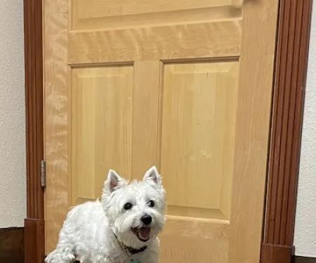 Eye Care for Animals - Pewaukee