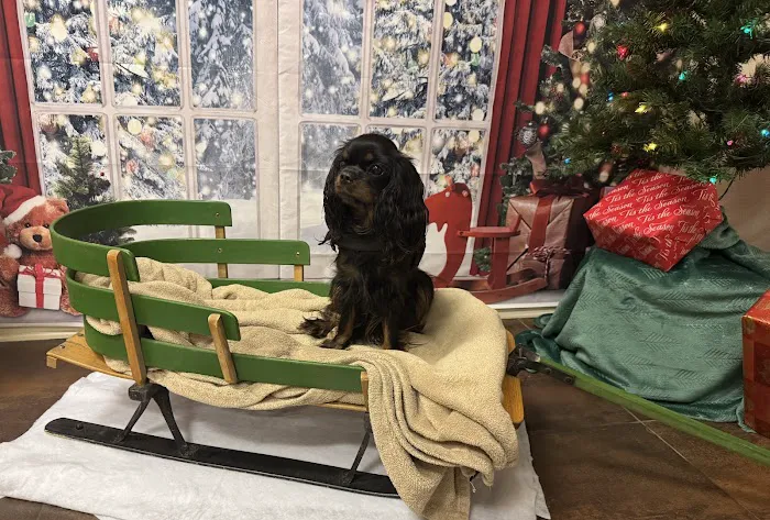 Eye Care for Animals - Pewaukee Picture 2