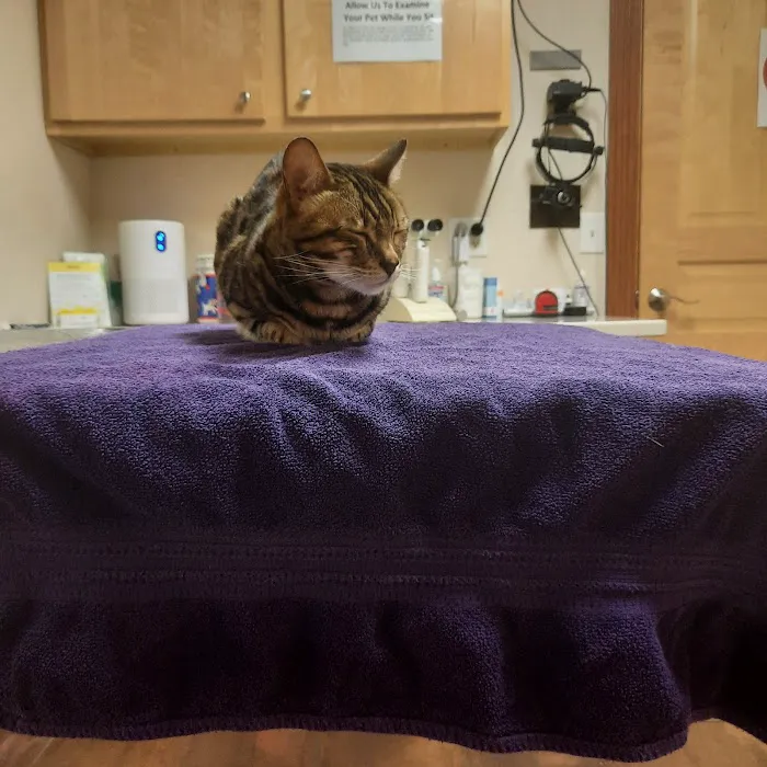 Eye Care for Animals - Pewaukee Picture 3