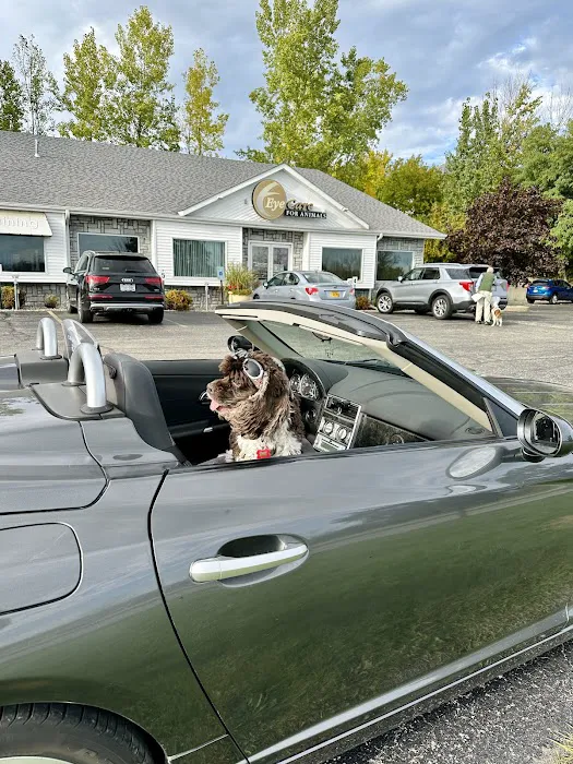 Eye Care for Animals - Pewaukee Picture 5