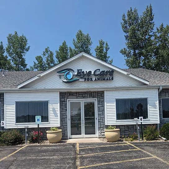 Eye Care for Animals - Pewaukee Picture 10
