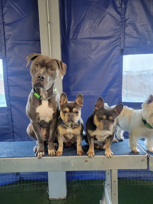 Eye Care for Animals - Pewaukee Picture 8