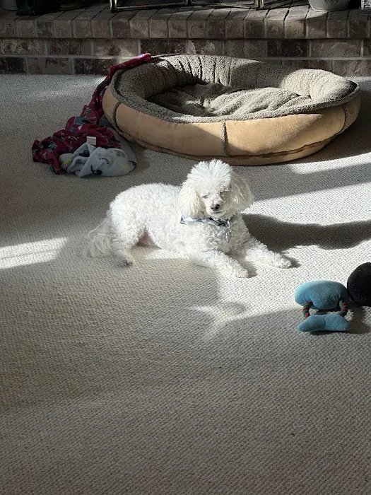 Eye Care for Animals - Pewaukee Picture 7