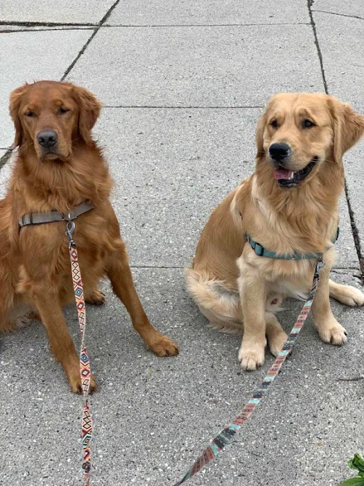 EverVet Animal Hospital Picture 1