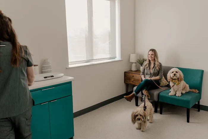 EverVet Animal Hospital Picture 7