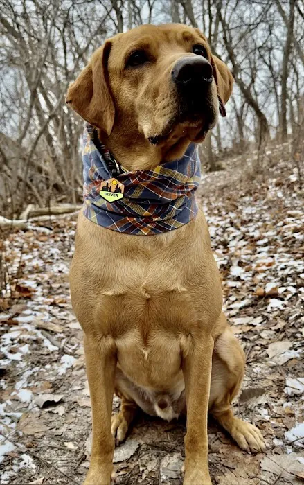 EverVet Animal Hospital Picture 5