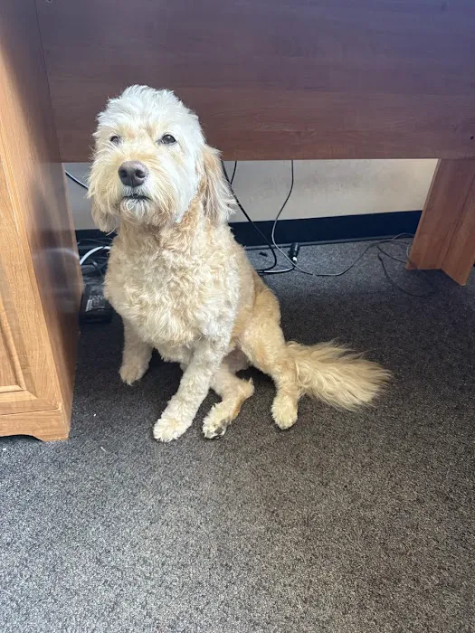 EverVet Animal Hospital Picture 6