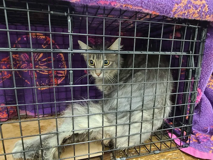 EverVet Animal Hospital Picture 9