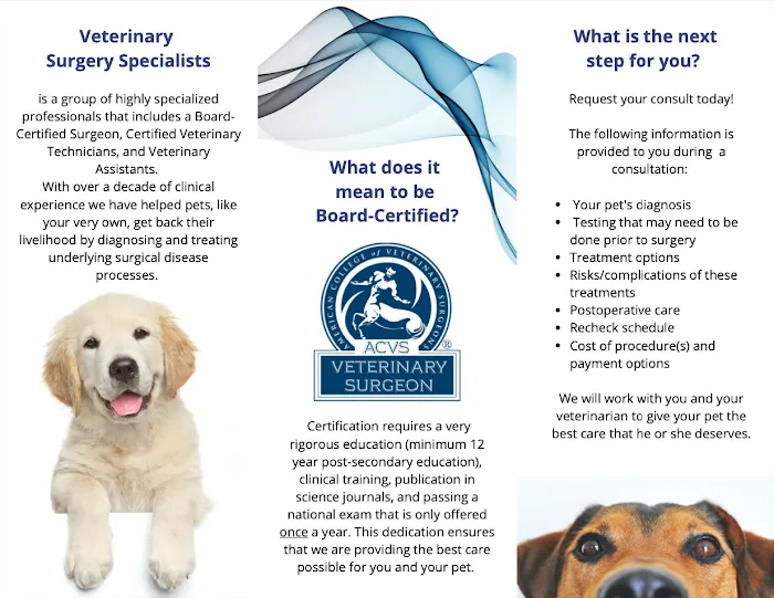 Veterinary Surgery Specialists Picture 7