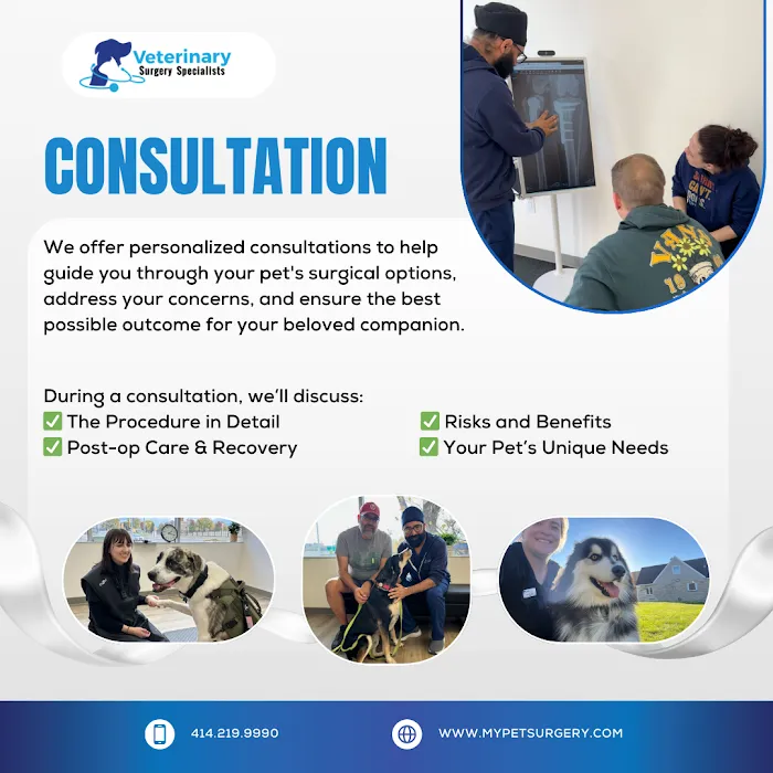 Veterinary Surgery Specialists Picture 8